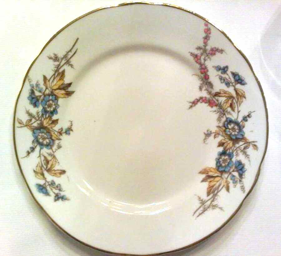 69-170 Dinner Plate by Carl Tielsch-1