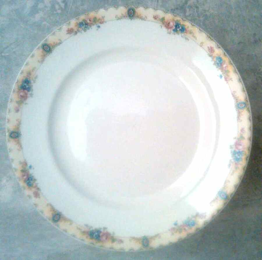 CRO358 Dinner Plate by Crooksville-1
