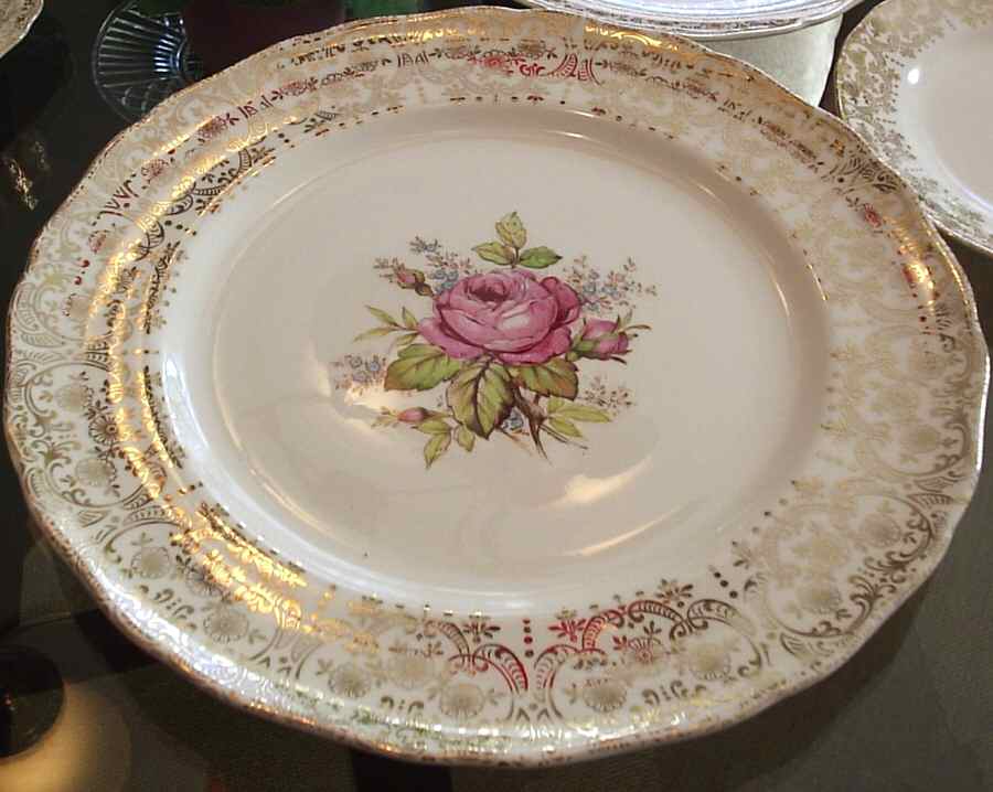 CAN258 Dinner Plate by Canonsburg-1