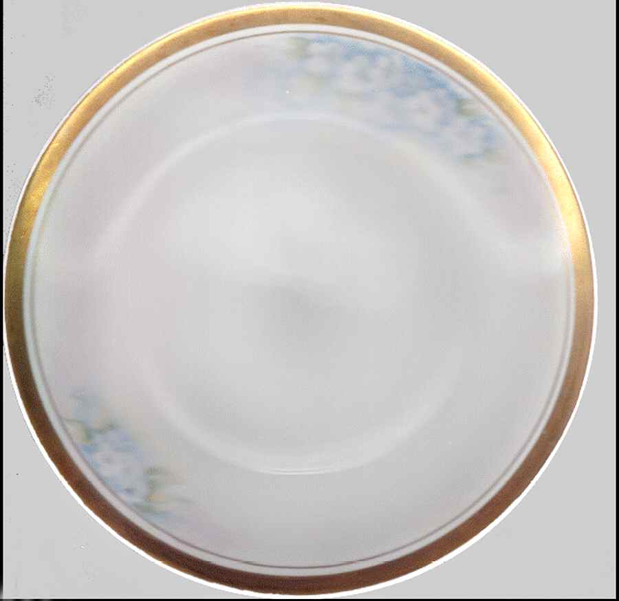 07495 (Floral) Dinner Plate by Chodziez-Poland-1