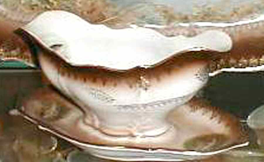 22049 Gravy Boat with Attached Underplate by Carl Tielsch-1