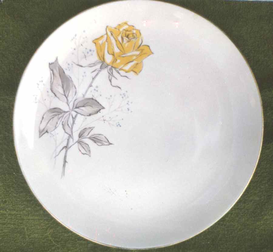 CAN261 Dinner Plate by Canonsburg-1