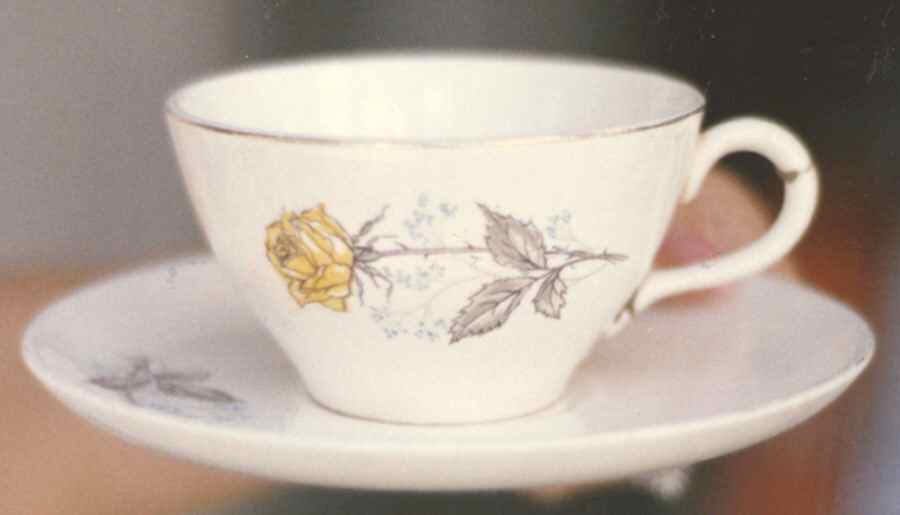 CAN261 Flat Cup & Saucer Set by Canonsburg-1