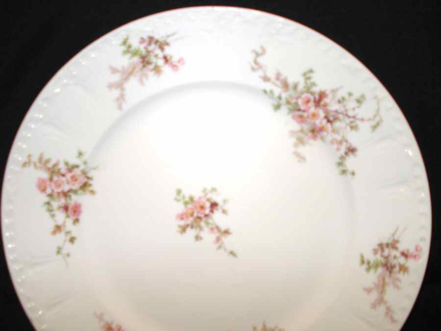 CHF1625 Dinner Plate by Charles Field Haviland-1