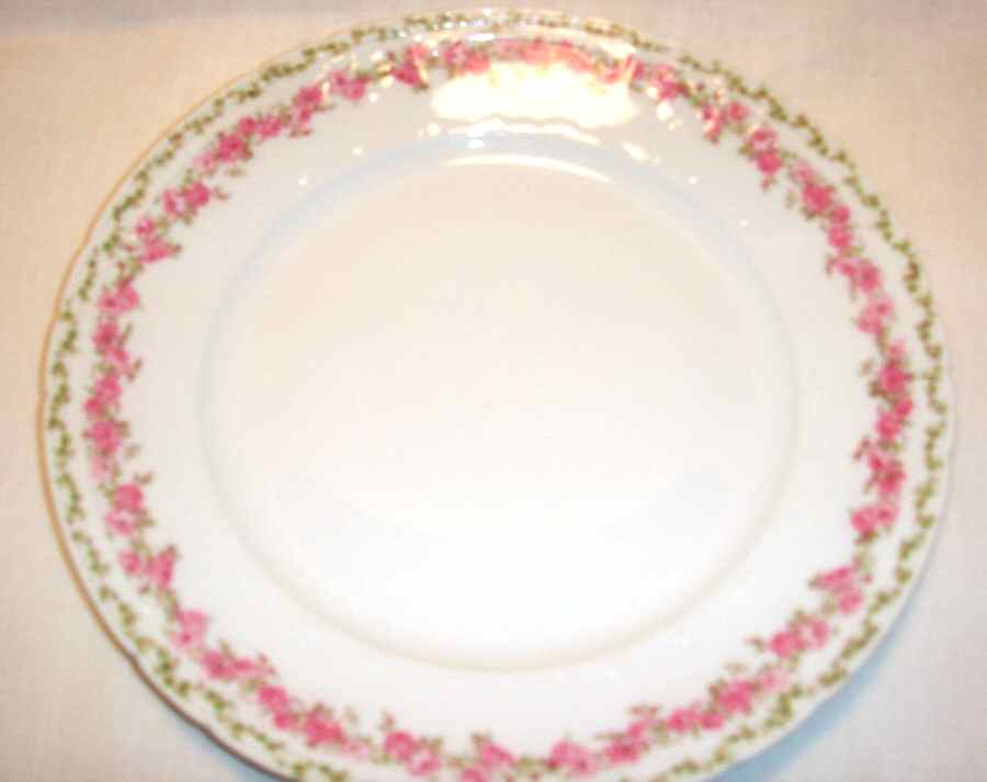 CHF1642 Dinner Plate by Charles Field Haviland-1
