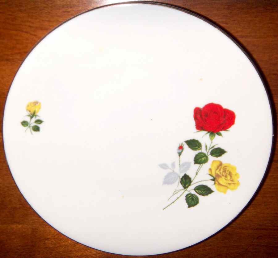 CDZ8 Dinner Plate by Creidlitz-1