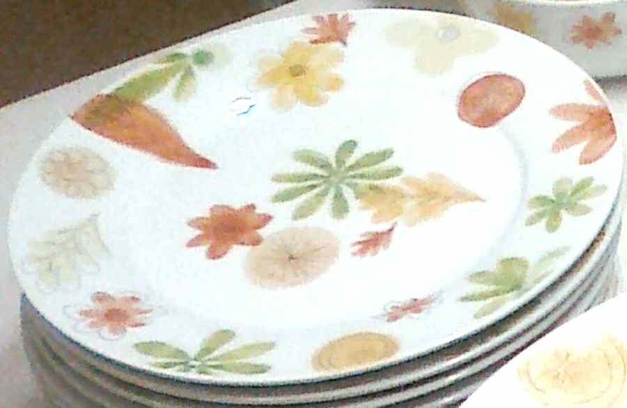 CBL105 Salad Plate by Crate & Barrel-1