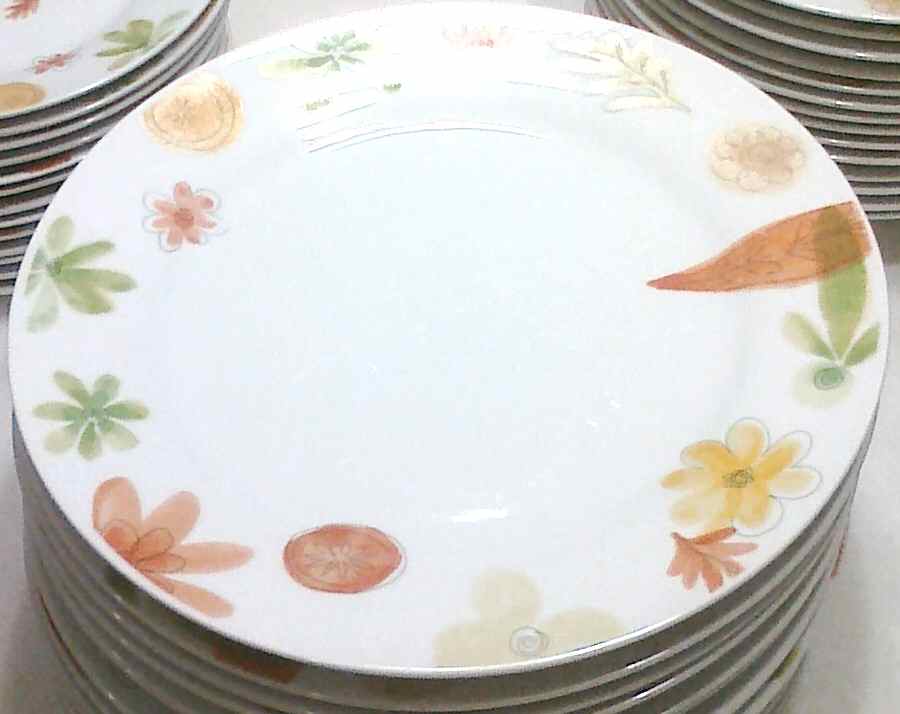 CBL105 Dinner Plate by Crate & Barrel-1