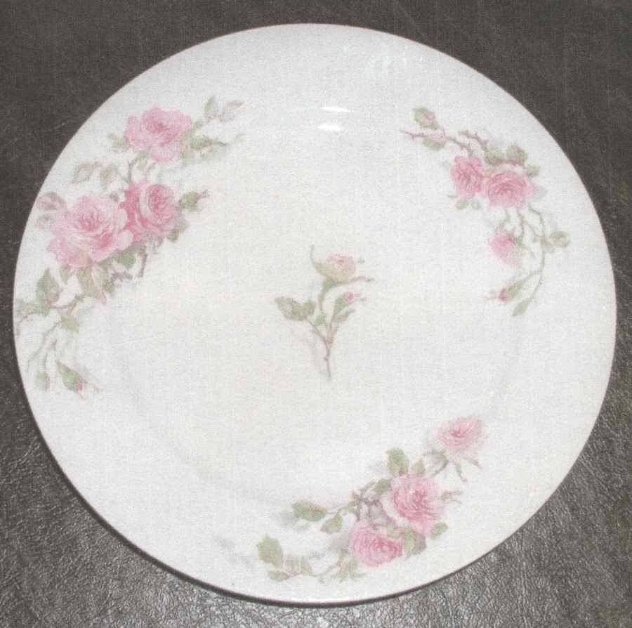 Schleiger 1313-7 Dinner Plate by Charles Field Haviland-1