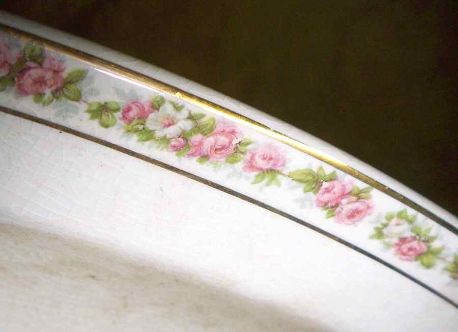 1885 Dinner Plate by Canonsburg-1