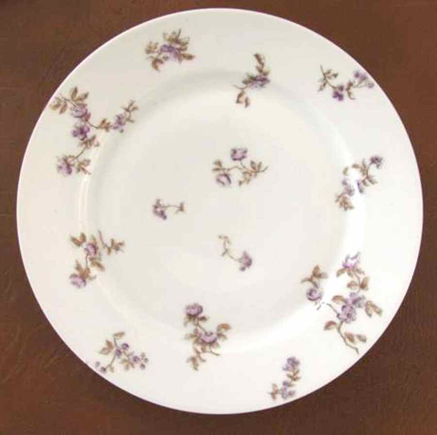CHF1649 Dinner Plate by Charles Field Haviland-1
