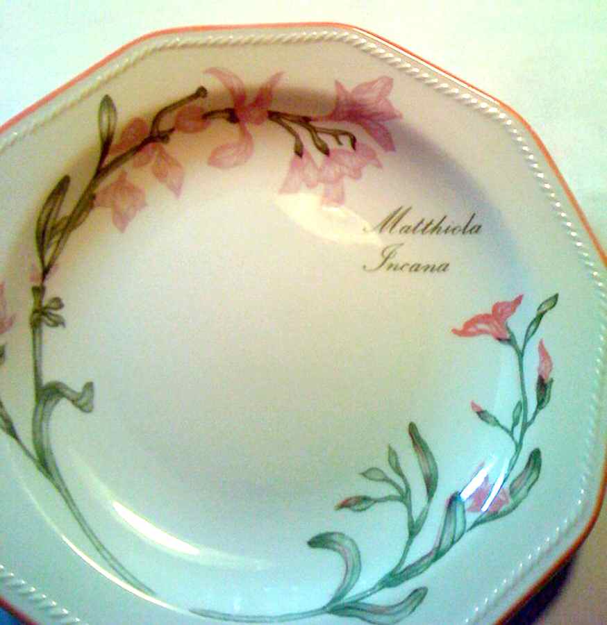 CCH49 Dinner Plate by Churchill-1