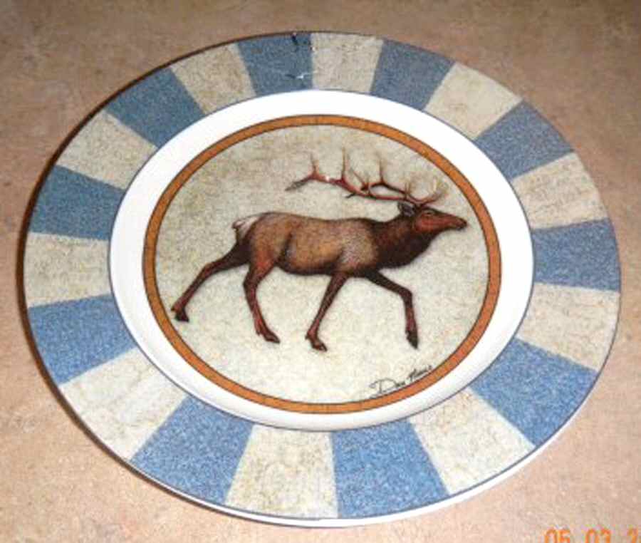 CP36 Dinner Plate by Cypress Home-1