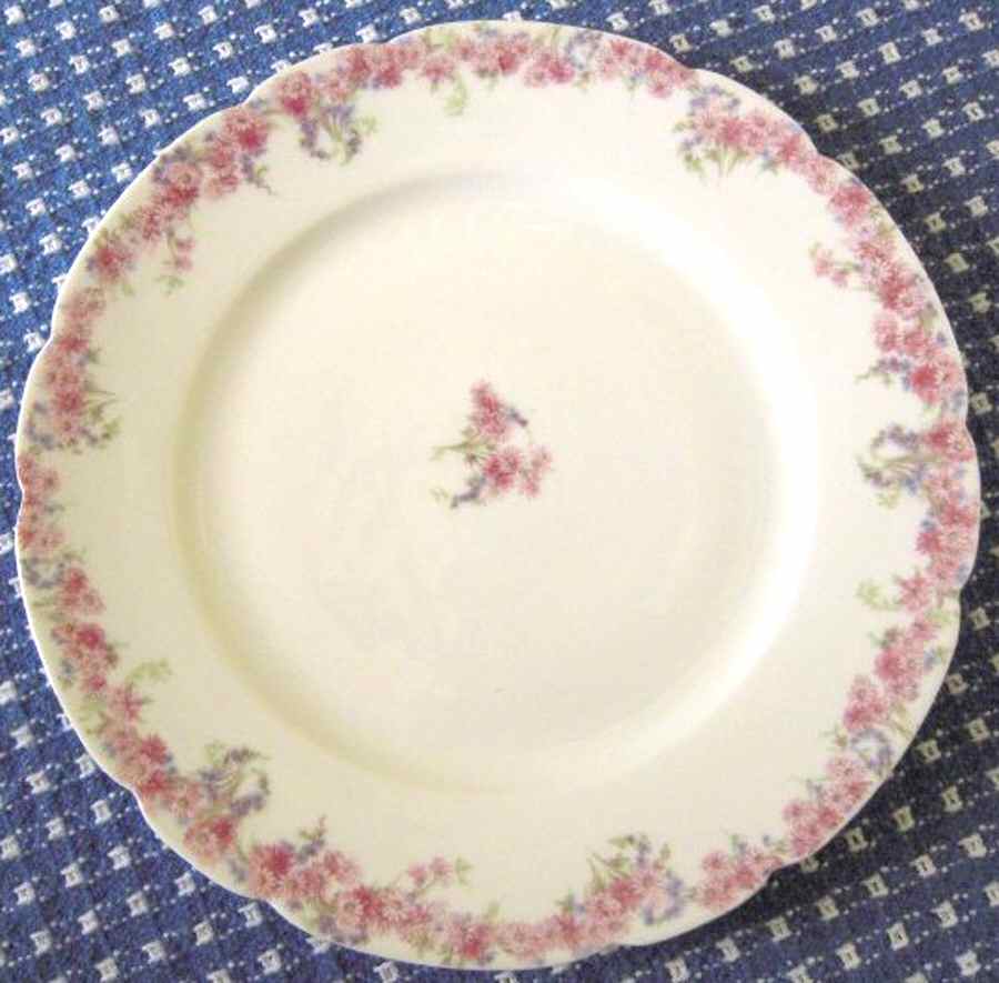 CHF1654 Dinner Plate by Charles Field Haviland-1