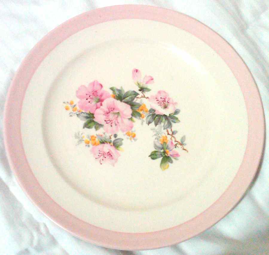 CRO363 Dinner Plate by Crooksville-1