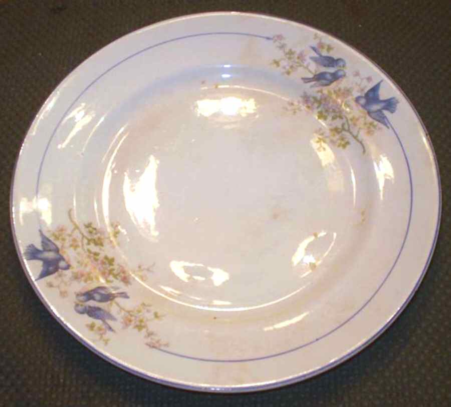 CAN264 Dinner Plate by Canonsburg-1