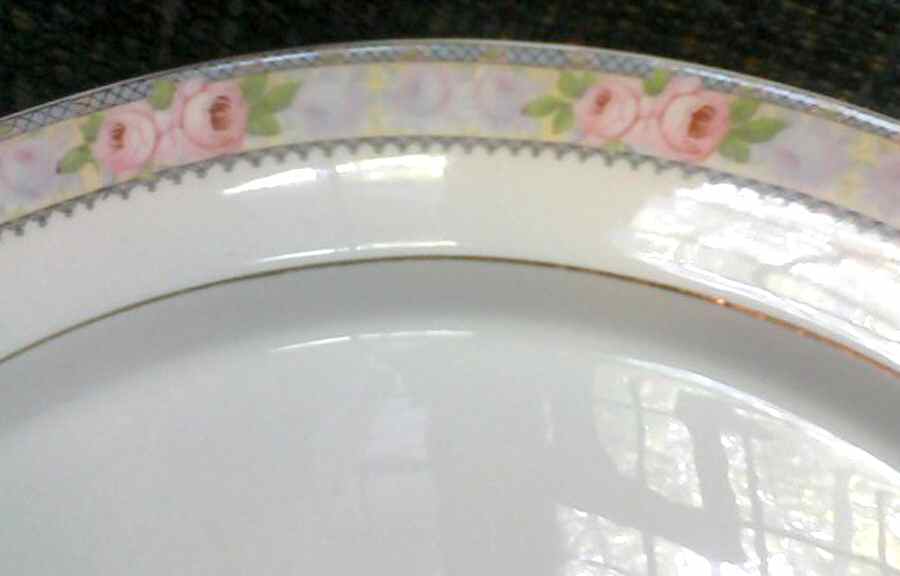 CAN265 Dinner Plate by Canonsburg-1