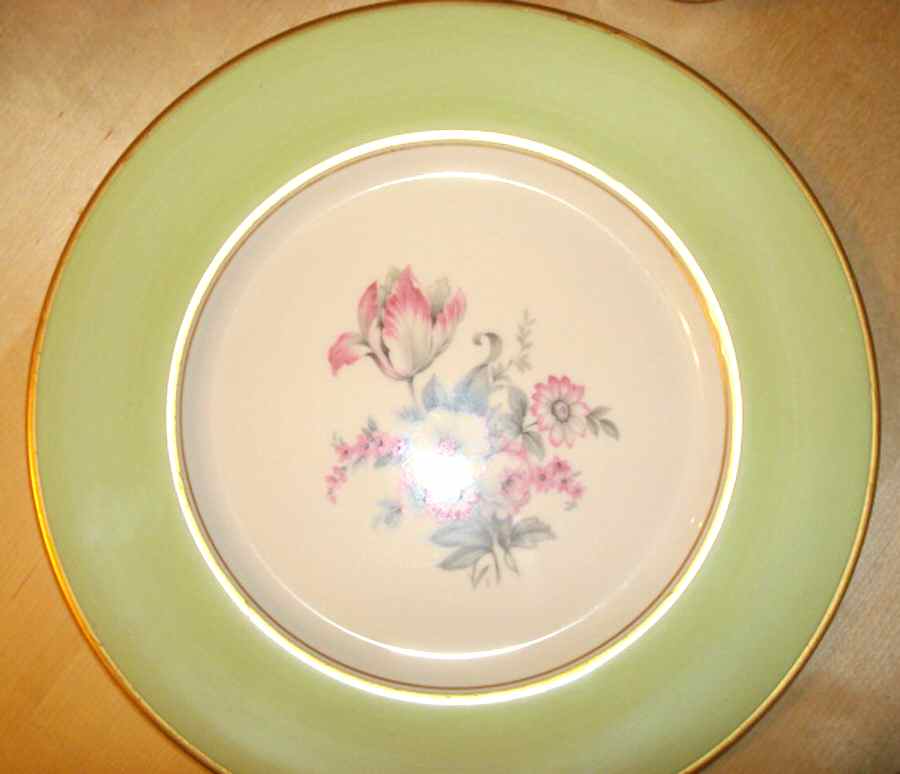CCD40 Dinner Plate by Concorde-1