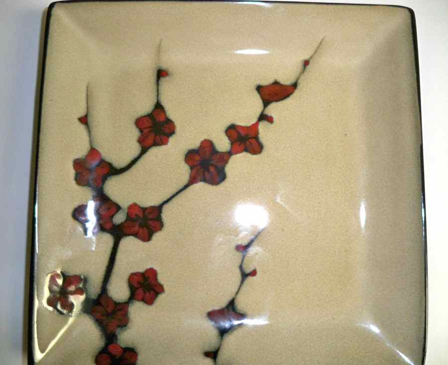 A1Z2 Square Dinner Plate by Asian Living-1