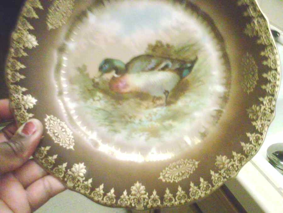 22048 Dinner Plate by Carl Tielsch-1