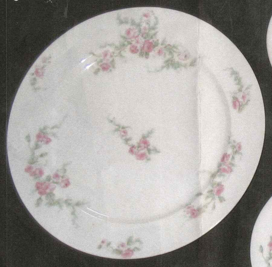 CHF1660 Dinner Plate by Charles Field Haviland-1