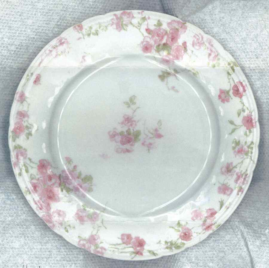 CHF1661 Dinner Plate by Charles Field Haviland-1