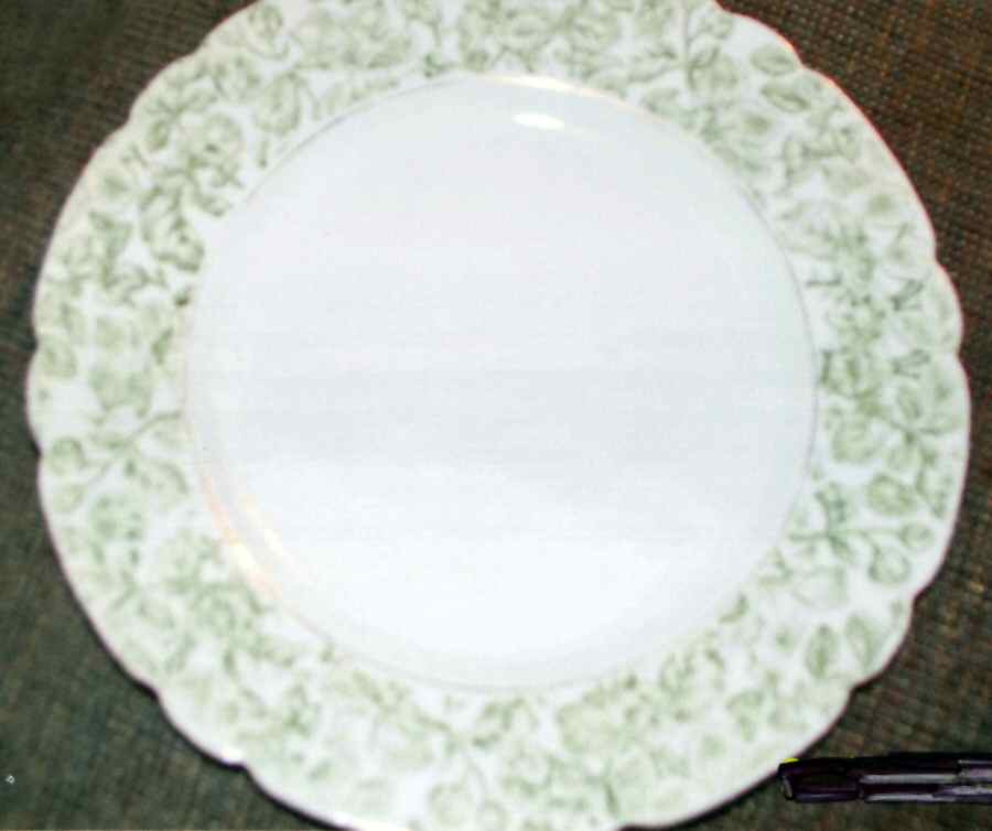 CAR204 Luncheon Plate by Carlsbad-1