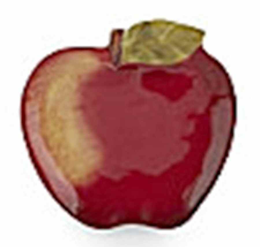 Botanical Fruit Figural Dessert/Pie Plate by Certified International-1