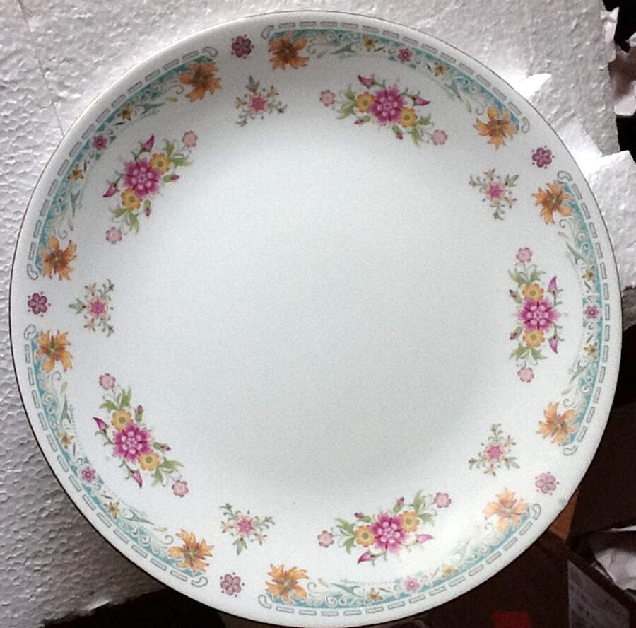 UP14 Dinner Plate by Universal Porcelain Company-1