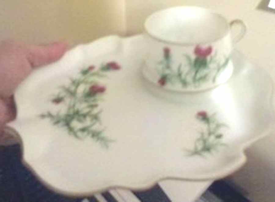 Thistle (404) Snack Plate & Cup Set by Craftsman (Japan)-1