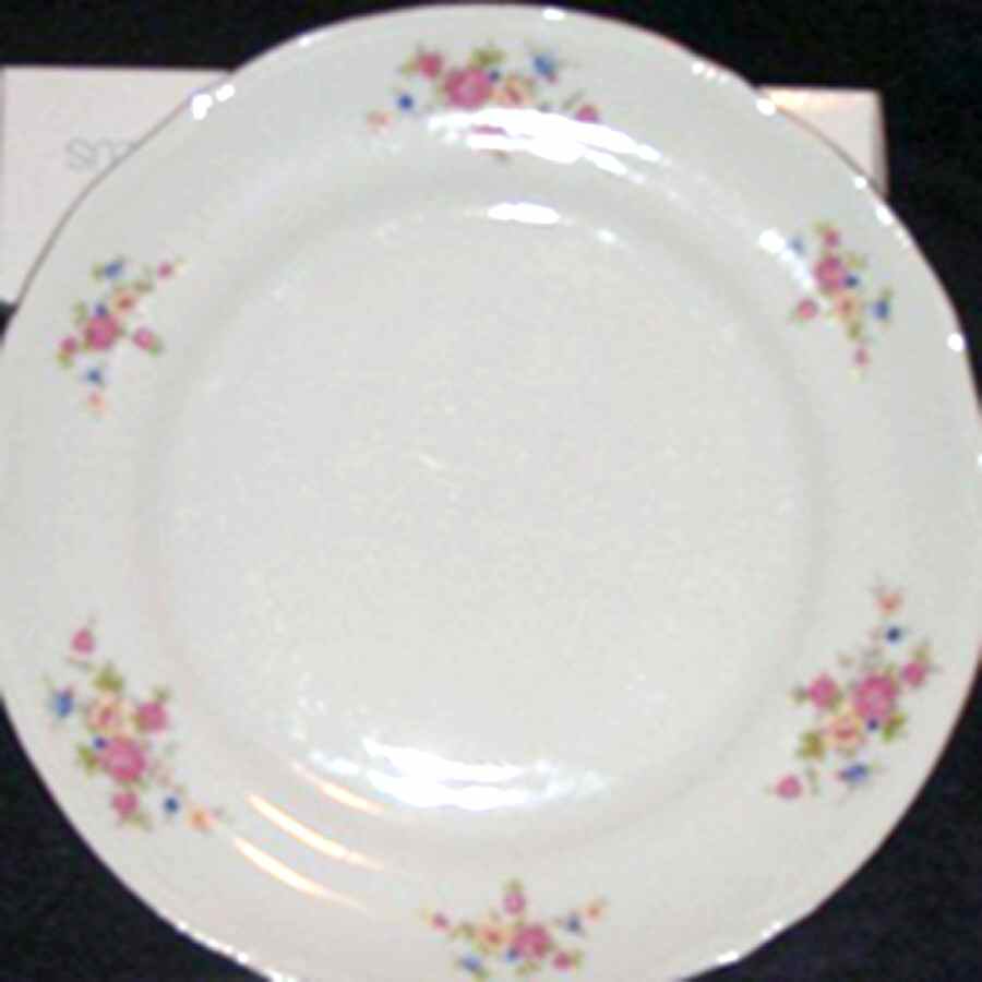 CHZ48 Dinner Plate by Chodziez-Poland-1