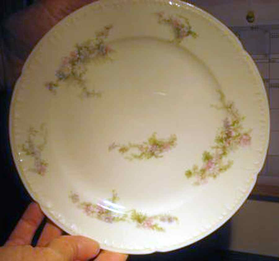 CHF1668 Dinner Plate by Charles Field Haviland-1