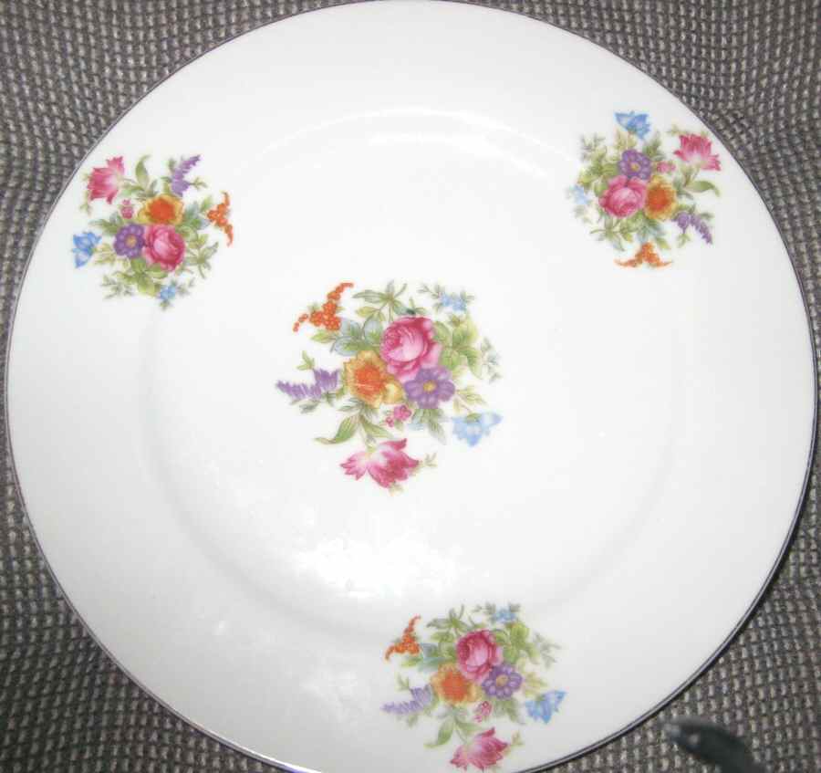 CSJ4 Dinner Plate by Continental Sokyoku-1