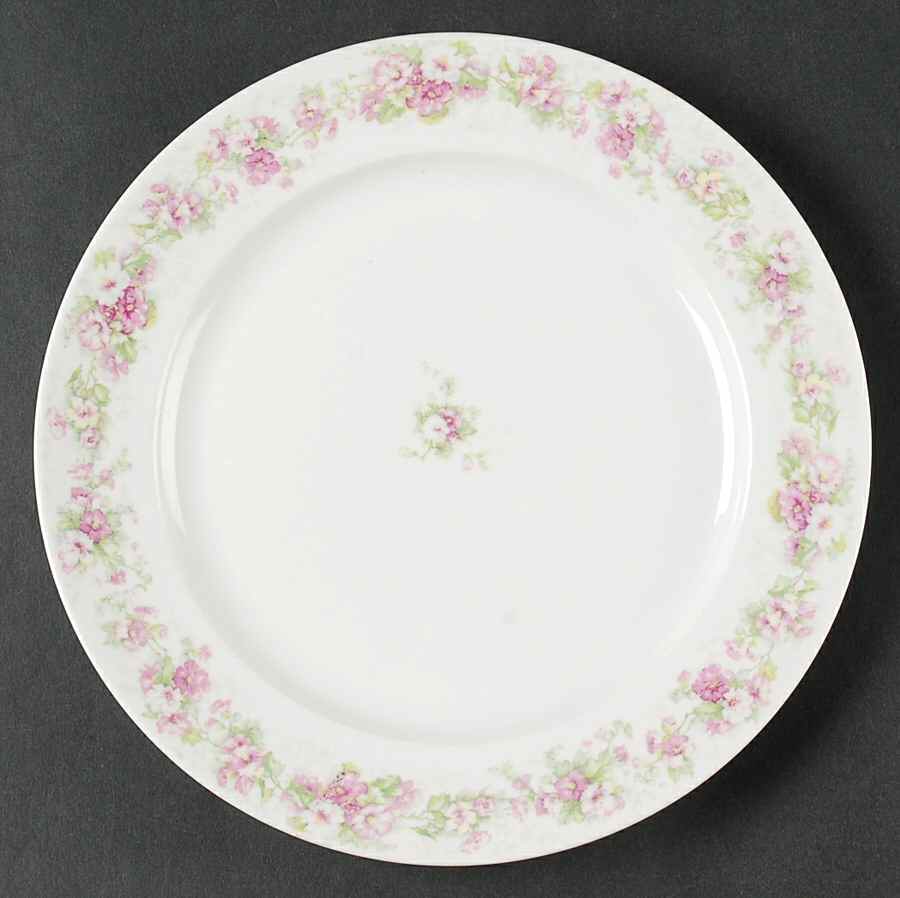 CHF1670 Salad Plate by Charles Field Haviland-1