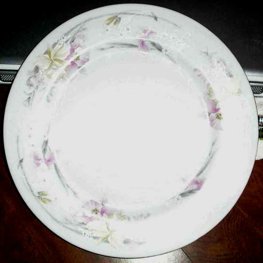 CX595 Dinner Plate by China (Made in China)-1