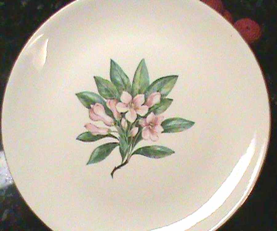 CAN268 Dinner Plate by Canonsburg-1