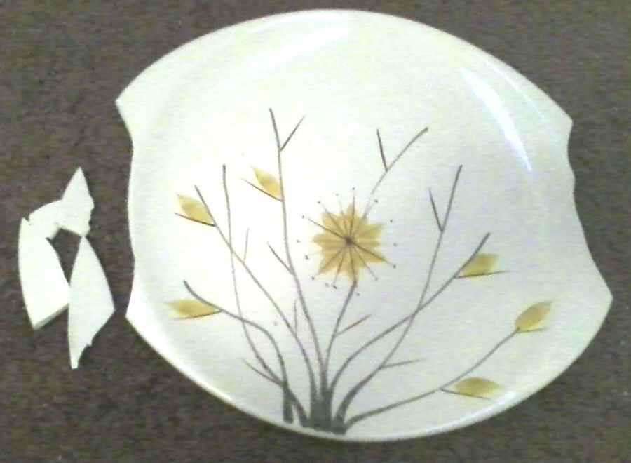 CAN269 Dinner Plate by Canonsburg-1
