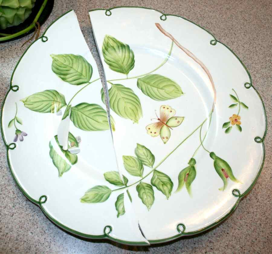 CH23 Dinner Plate by Chelsea House-1