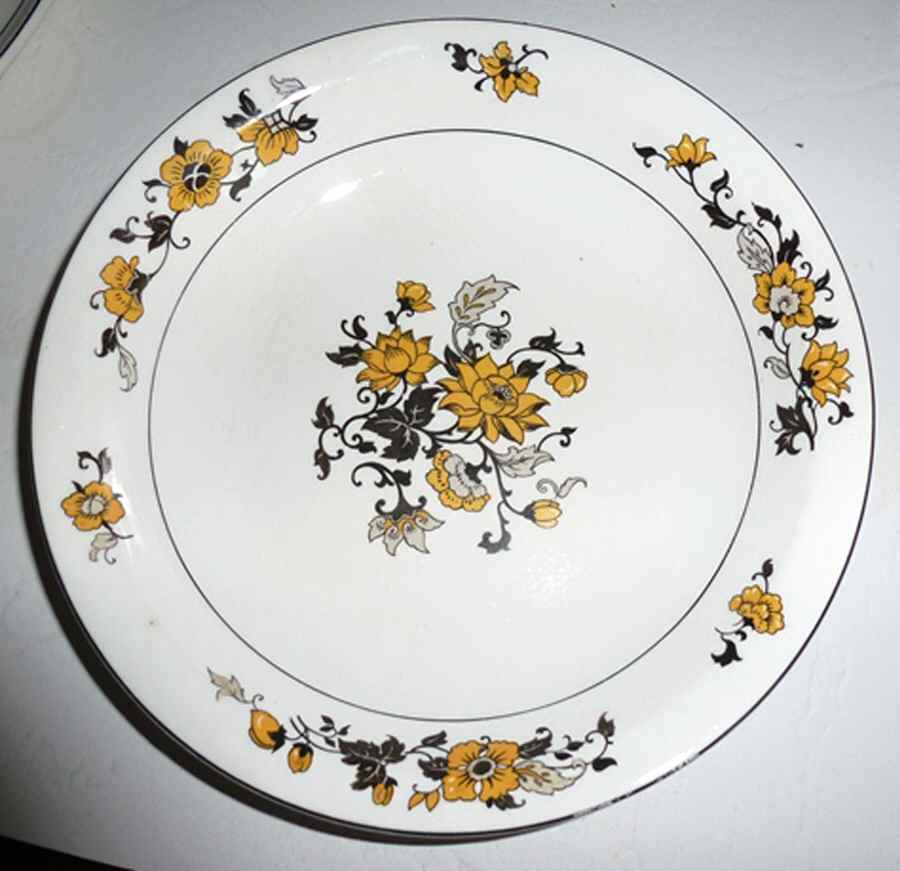 CAN270 Dinner Plate by Canonsburg-1