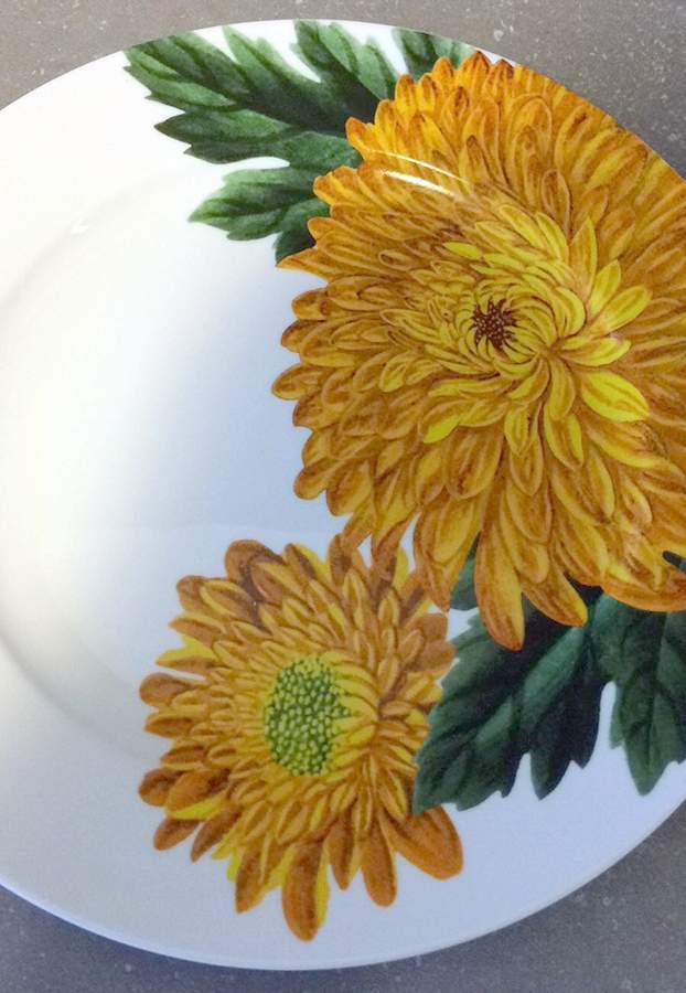 Flower Plates Salad/Dessert Plate by Crate & Barrel-1