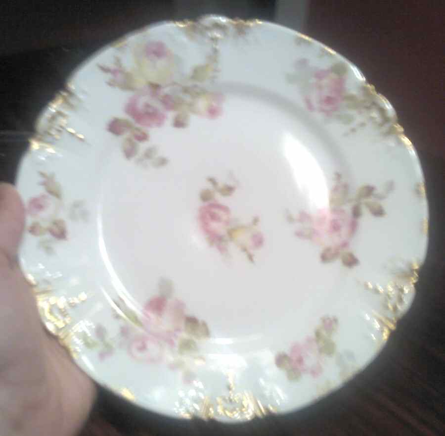 CHF1677 Dinner Plate by Charles Field Haviland-1