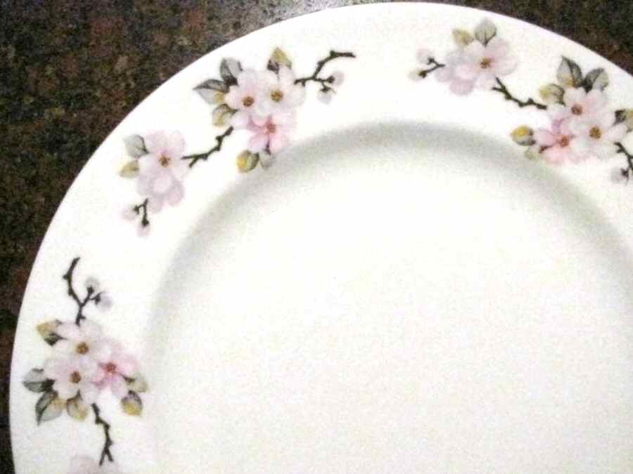 F16520 Dinner Plate by Crown Staffordshire-1