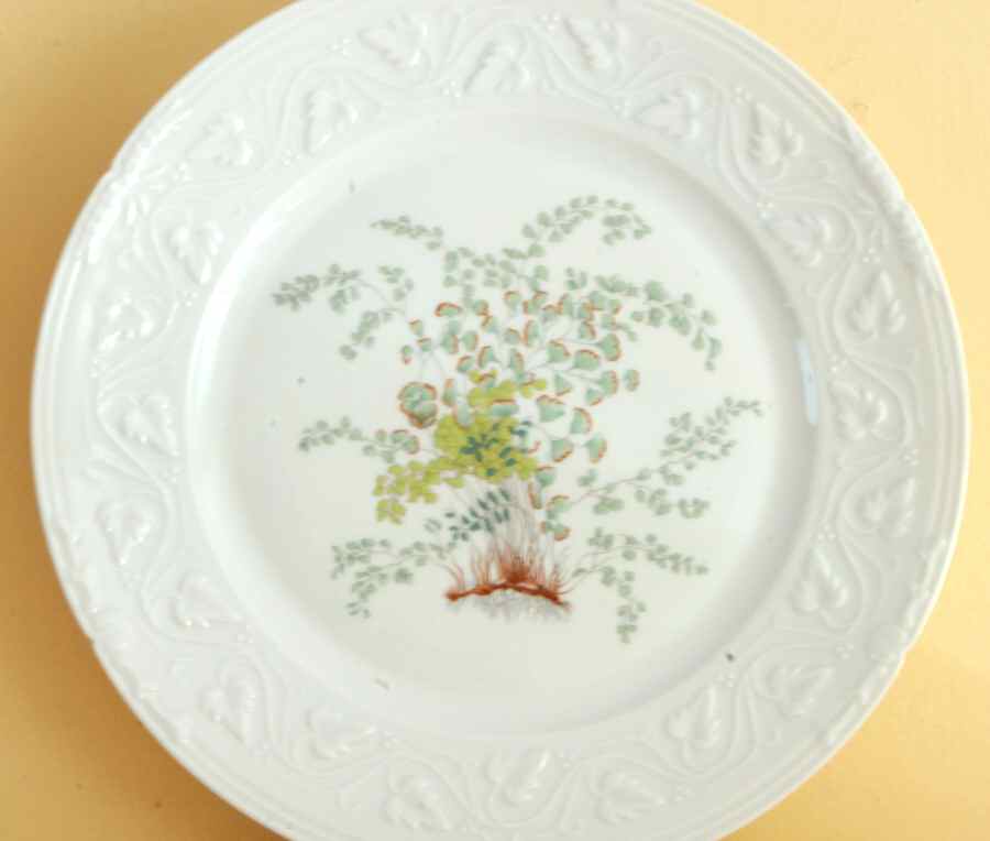 CHF1682 Dinner Plate by Charles Field Haviland-1