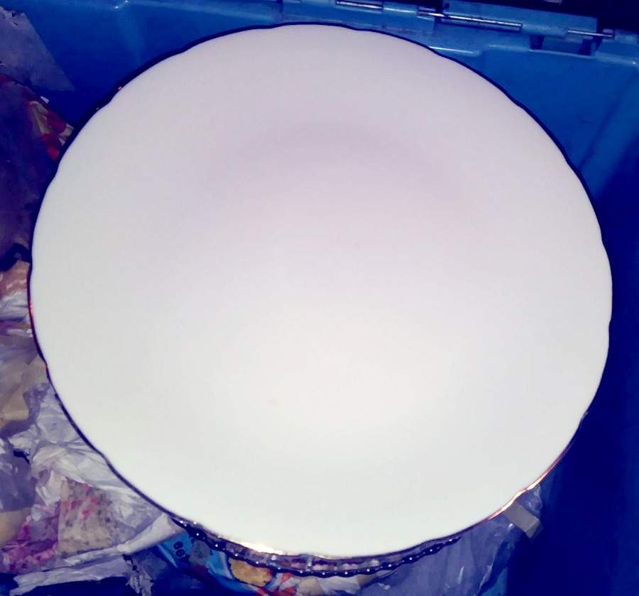 UP110 Dinner Plate by Universal Porcelain Company-1