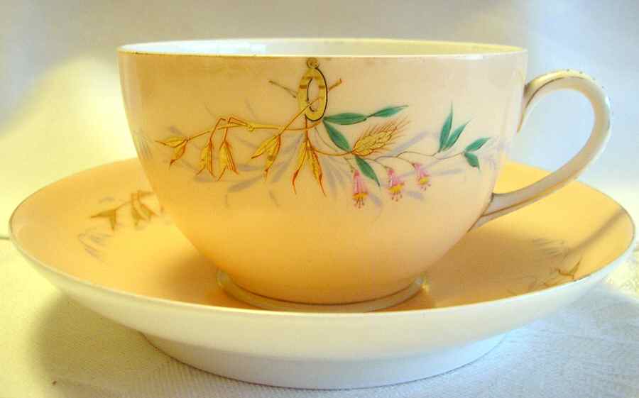 CHF1686 Footed Cup & Saucer Set by Charles Field Haviland-1