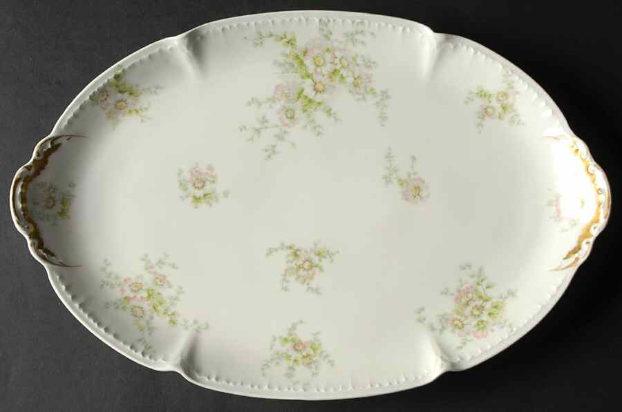 CHF635 14" Oval Serving Platter by Charles Field Haviland-1