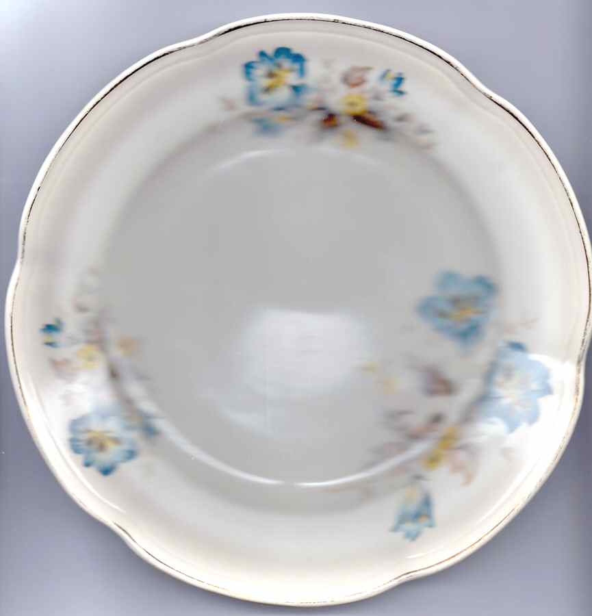 64502 Dinner Plate by Chodziez-Poland-1