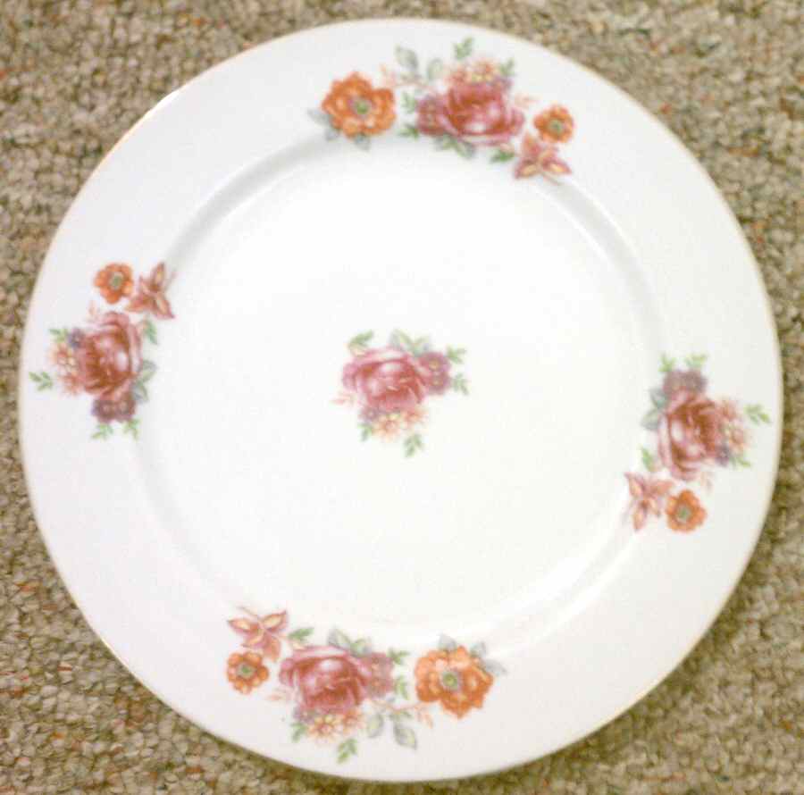 CRF30 Dinner Plate by Craftsman (Japan)-1