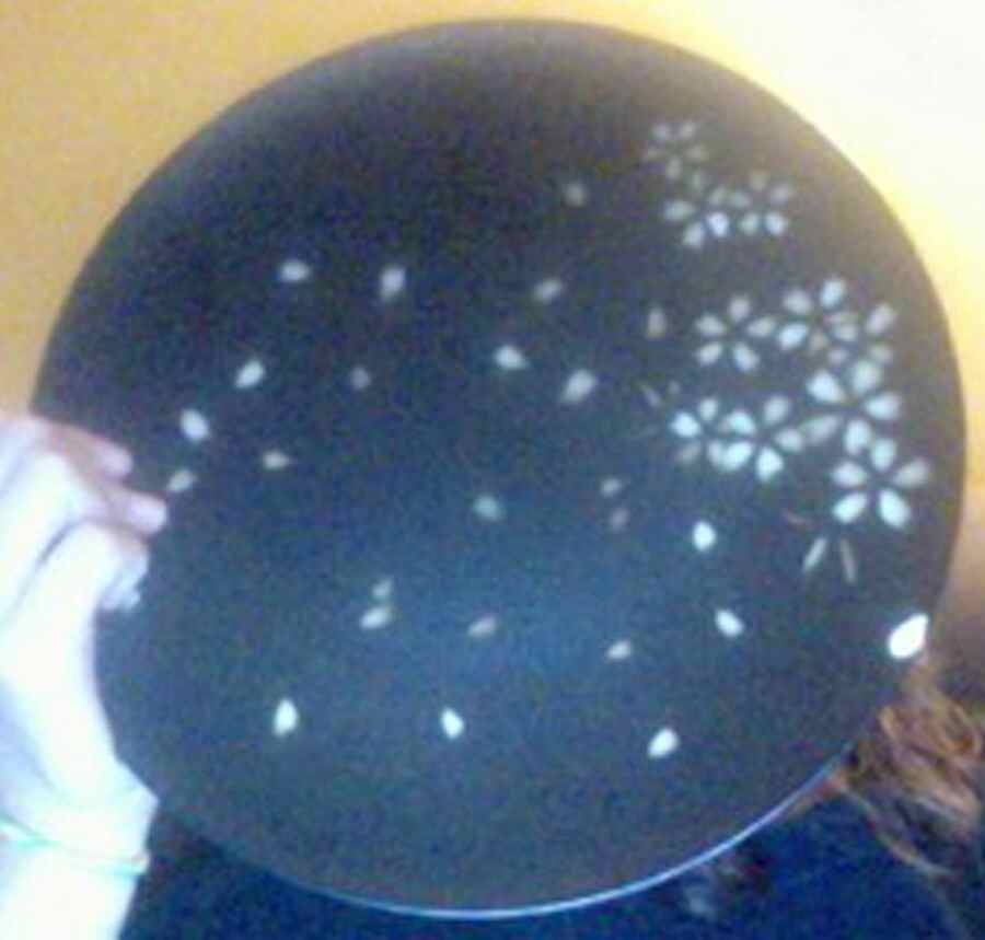 Le Fleur Dinner Plate by Coventry (PTS)-1