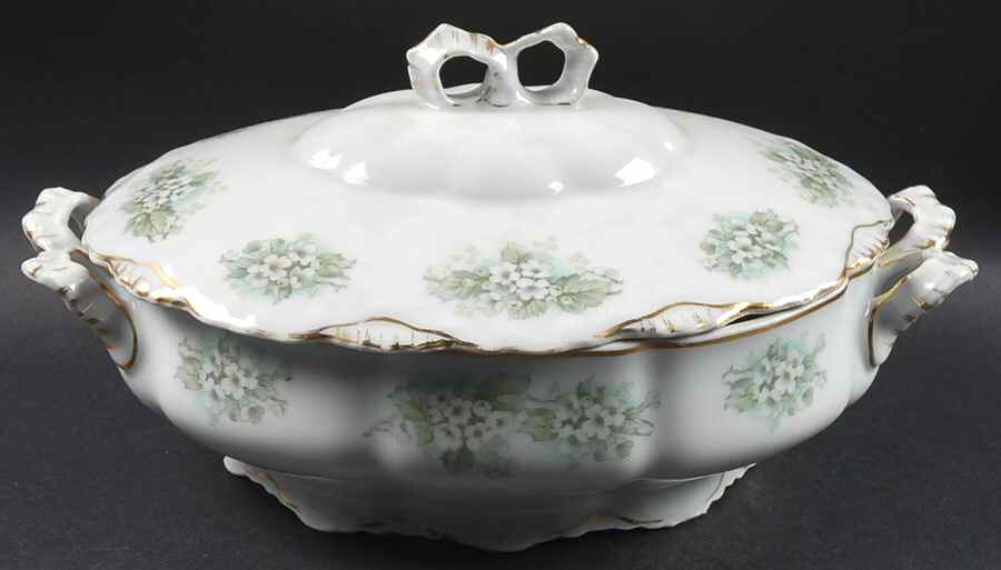 24045-38 Oval Covered Vegetable by Carl Tielsch-1